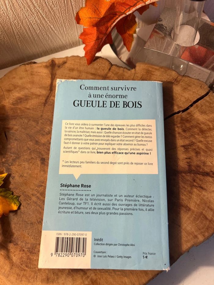 Livre comment survivre à une gueule de bois - photo numéro 3