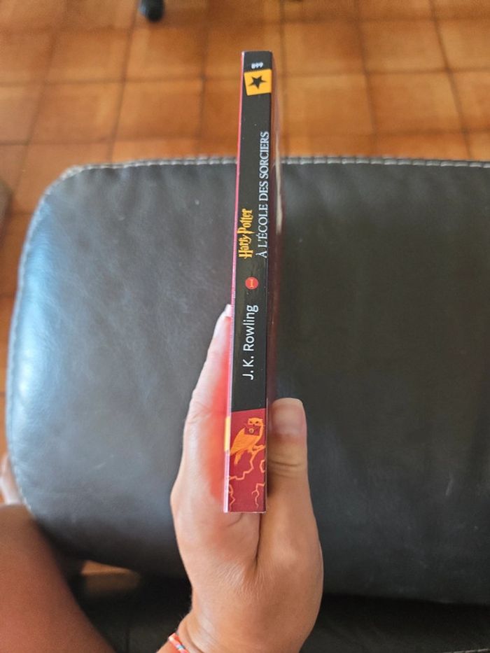 Harry Potter à l'école des sorciers - photo numéro 4
