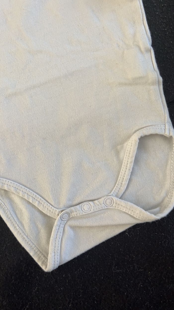 Bodie 3 mois - photo numéro 2