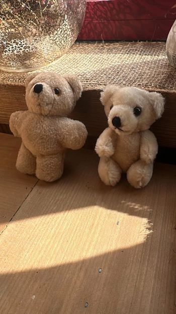 Lot de 2 petits ourson en peluche