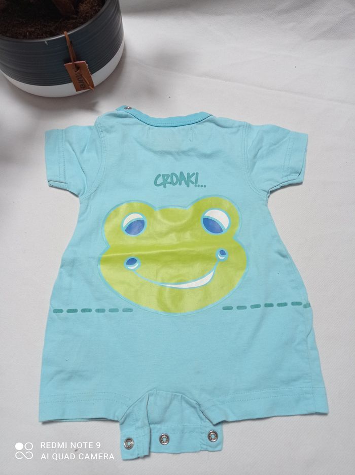 petite grenouillere - photo numéro 5