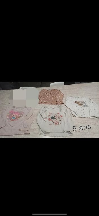Lot 5 t-shirts manche longue fille