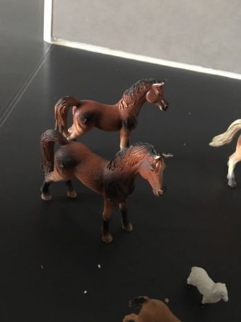 Figurines chevaux