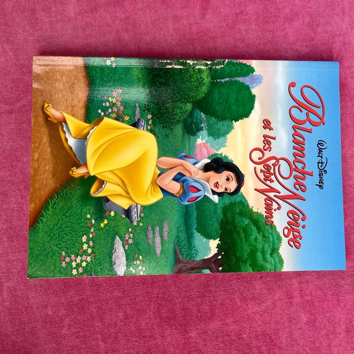4 livres de  Disney  princesse  avec le coffret . - photo numéro 3
