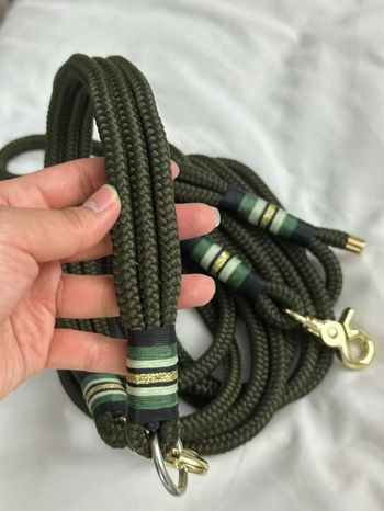 Ensemble laisse collier