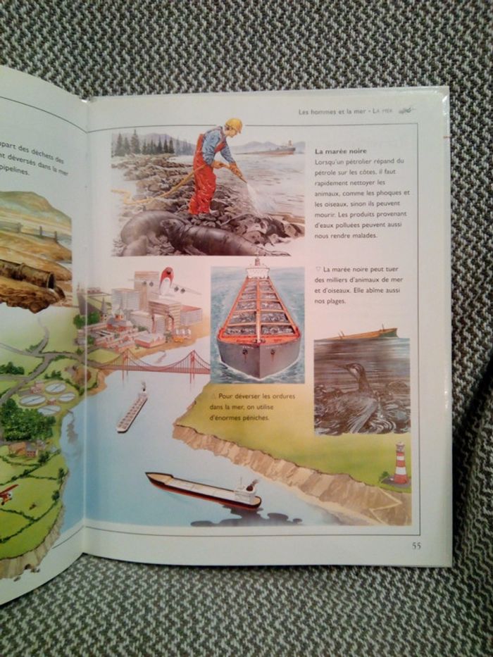 La Mer - Ma première encyclopédie - Ed. Nathan (pour France Loisirs) - photo numéro 20
