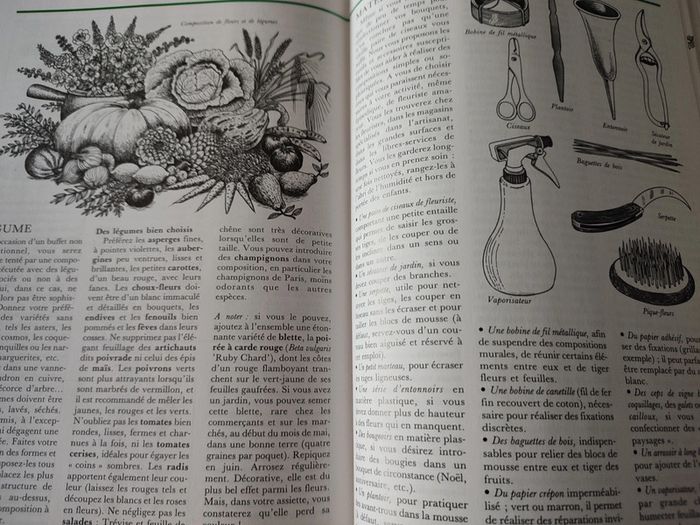 Livre botanique "La maison fleurie" - édition Solar - photo numéro 3