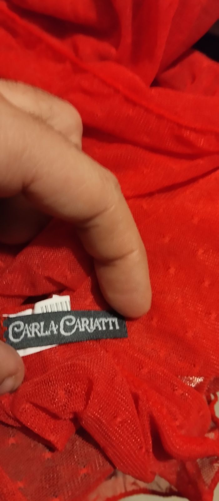 Nuisette sexy - photo numéro 2