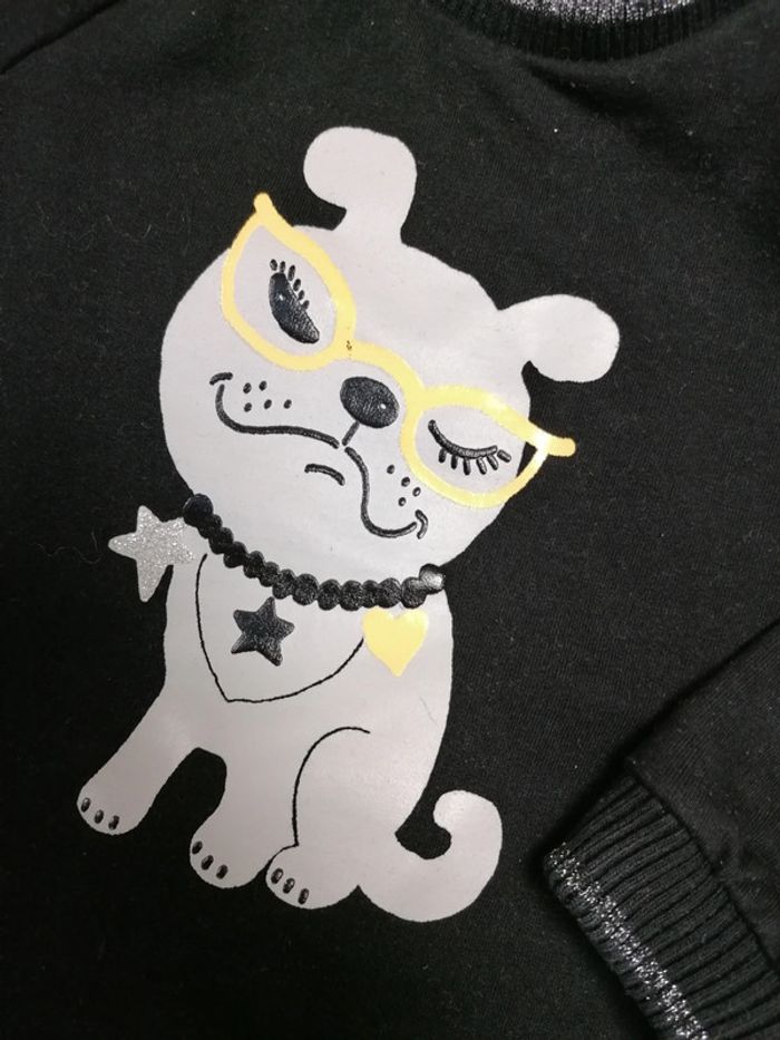 Pull dogue - photo numéro 2