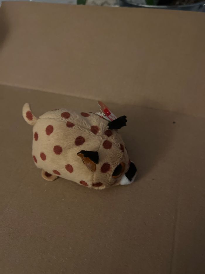 KENNY - photo numéro 2