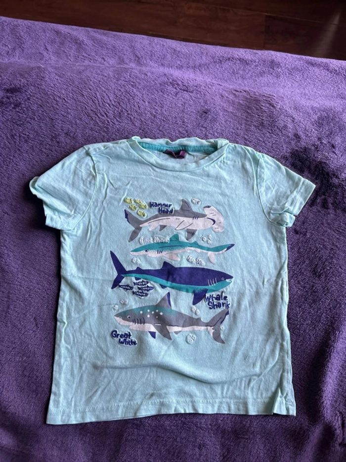 T-shirt manches courtes garcon en coton turquoise thème requins Sergent major taille 4 ans