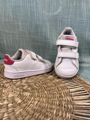 Basket taille 22 adidas