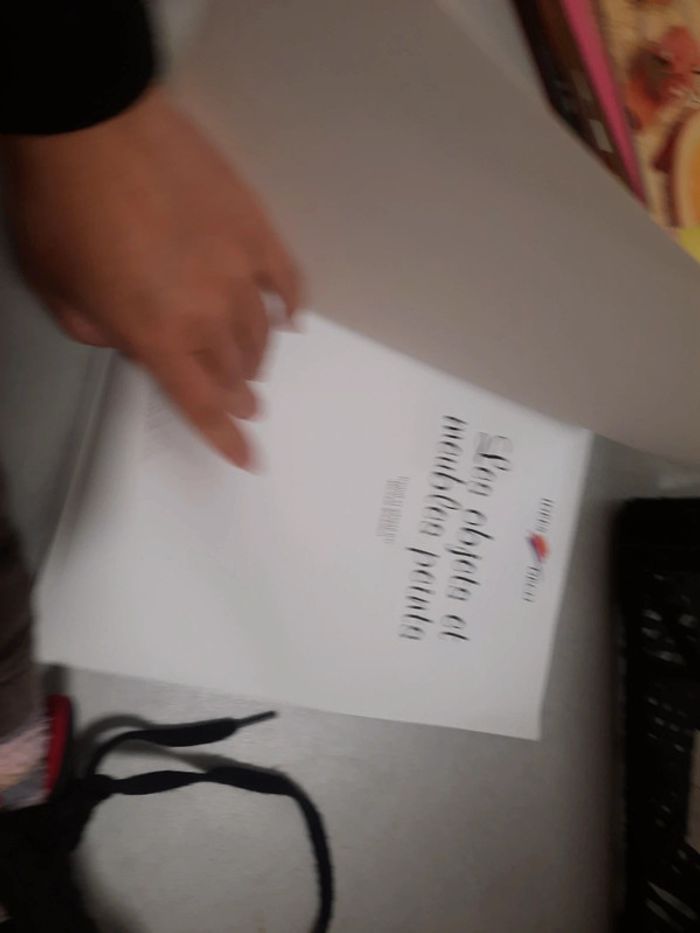 Lot livre decoration maison fait main lot - photo numéro 7