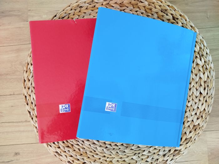 Lot 2 classeurs rigides oxford - photo numéro 2