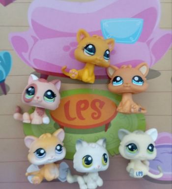 Lot petshops 