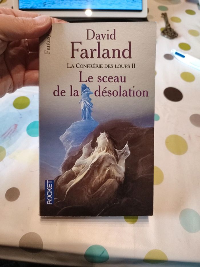 Le sceau de la désolation de David farland