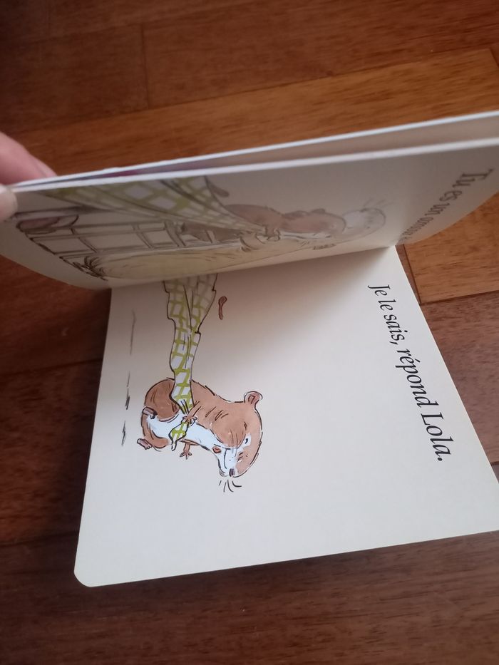 Je suis un amour - photo numéro 3