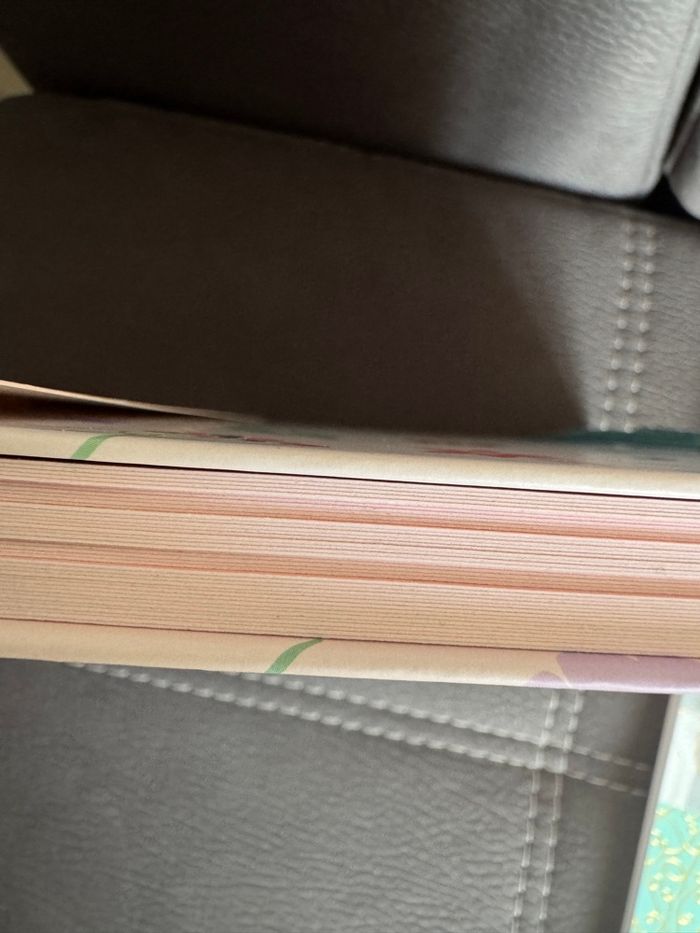 Album scrapbooking avec bloc note - photo numéro 4