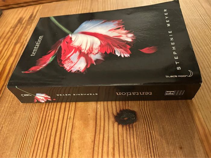 Livre twilight tentation tome 2 - photo numéro 3