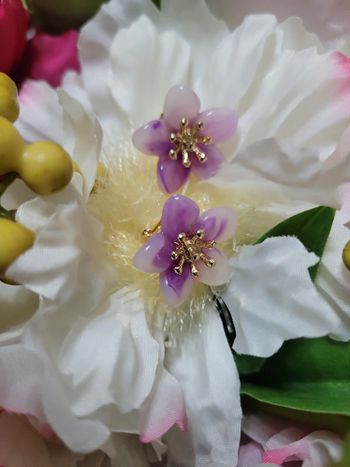 Clips fleurs violettes