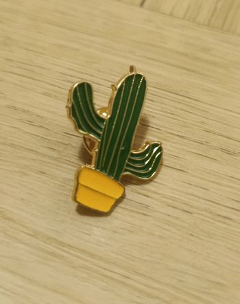 Pin's cactus