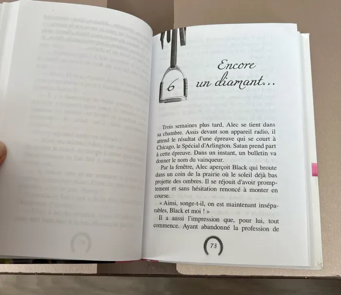 Livre jeunesse « le ranch de l’étalon noir » - photo numéro 3