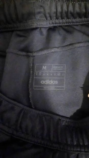 Adidas jogging sport