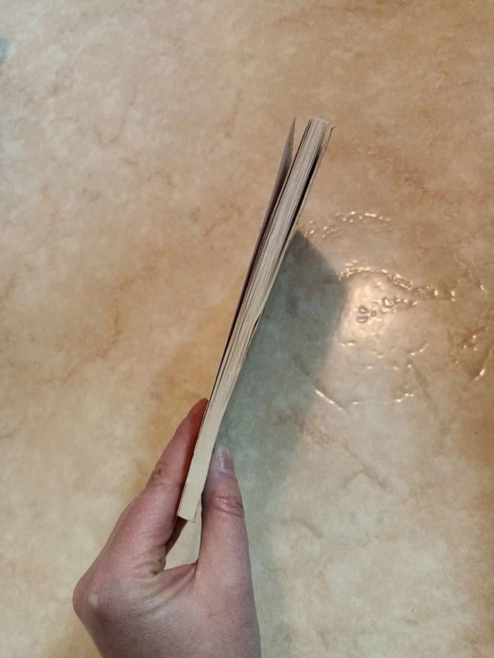 Sherlock Holmes - photo numéro 3