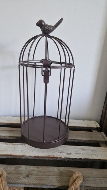 Cage à oiseaux déco