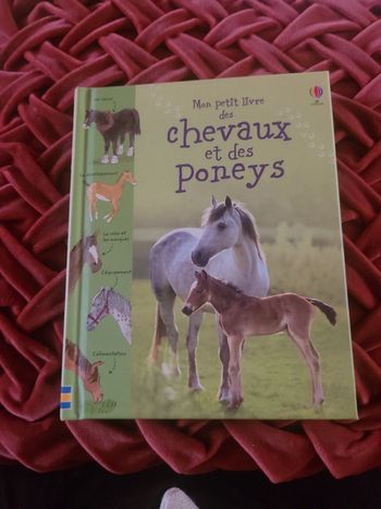 Mon petit livre des chevaux et des poneys