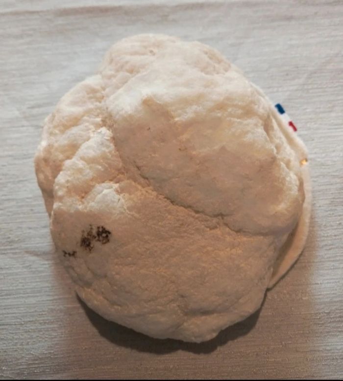 Demi giode - photo numéro 3