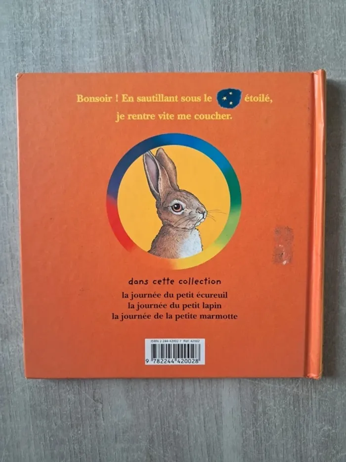 Livre la journée du petit lapin bonjour édition Lito - photo numéro 2