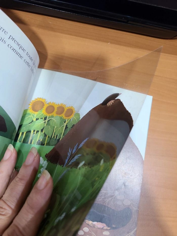 Cache cache le monde sous terre - photo numéro 15