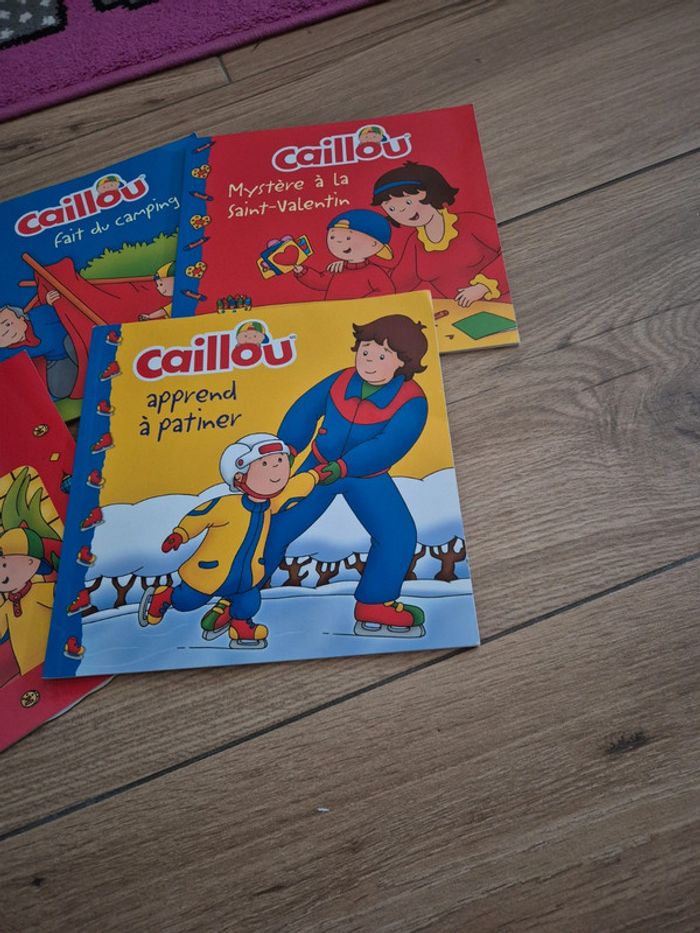 Lot 5 livres caillou - photo numéro 4