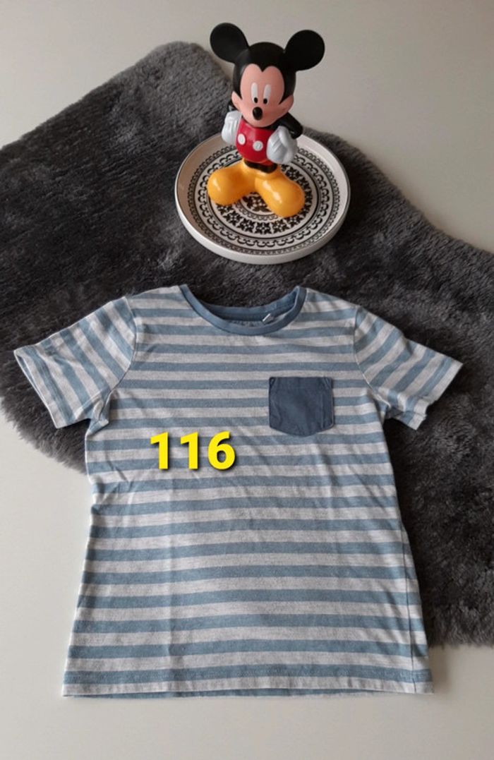 Tchirt palomino 6 ans