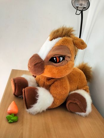 Mon poney Toffre