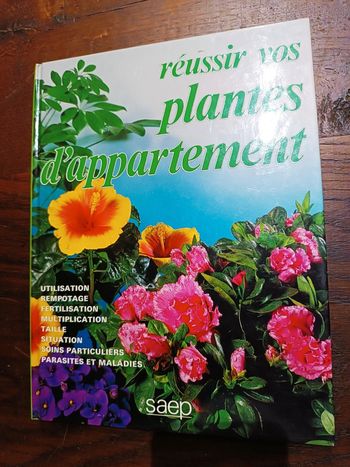 Réussir vos plantes d'appartement
