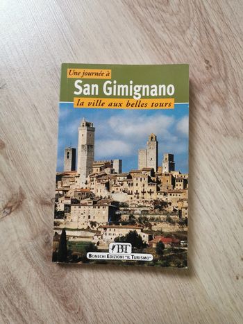 San Gimignano, la ville aux belles tours de Piero Torriti