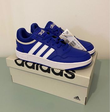 Baskets Adidas Hoops 3.0 neuves
