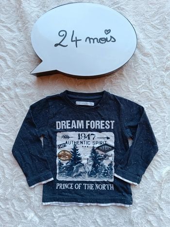 Tee shirt chemise manches longues Garçon 24 mois Dream Forest loup Gémo