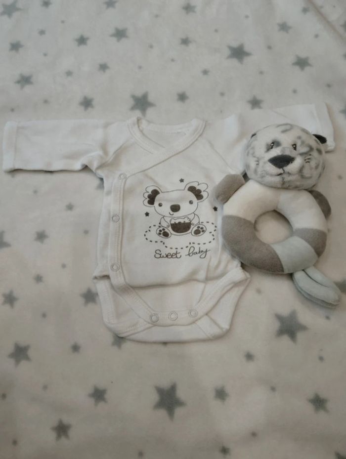Lot de bodies caches cœur pour "Mini baby" - photo numéro 2