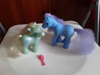 Lot 2 poneys + brosse