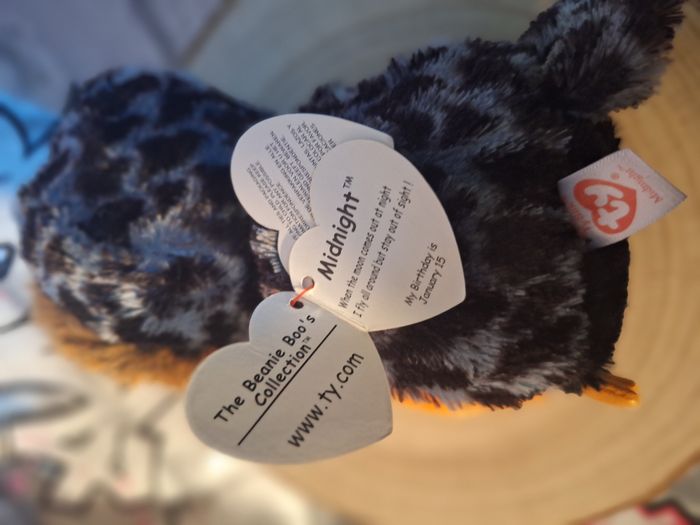 Peluche de collection Ty Beanie Midnight the Orange et Green Owl - photo numéro 9
