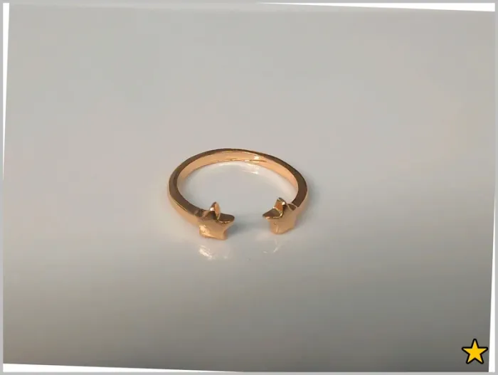 Bague dorée en acier inoxydable