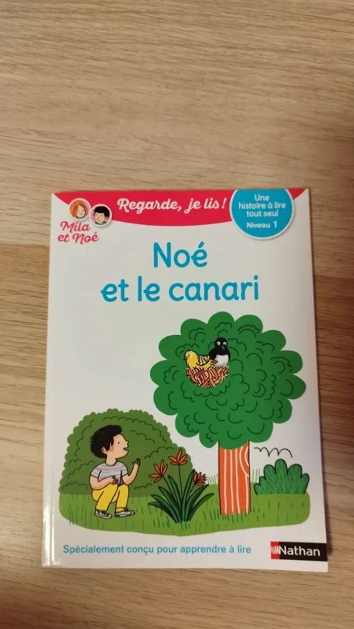 Livre Noé et le canari
