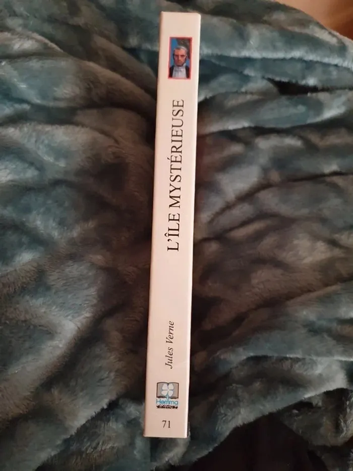 Livre "l'île mystérieuse" Jules Verne - photo numéro 2