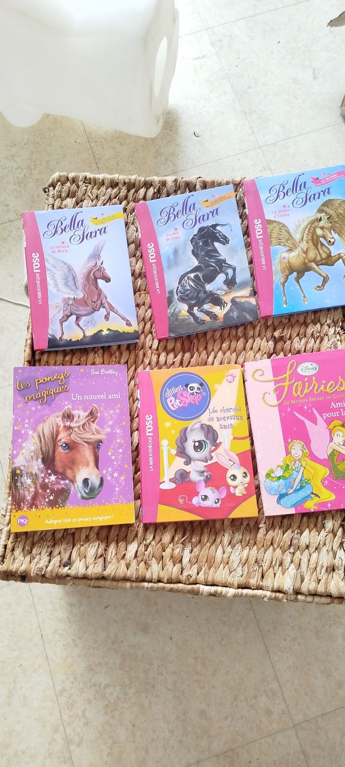 Lot livre jeune fille 🎀 - photo numéro 3