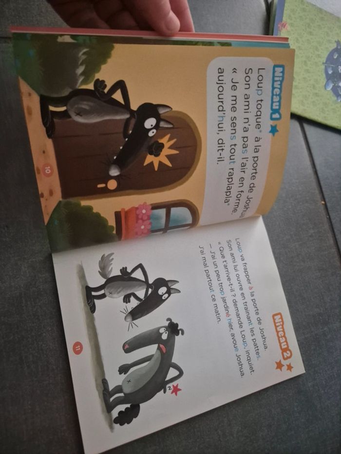 Mes lectures du CP avec Loup Auzou - photo numéro 3