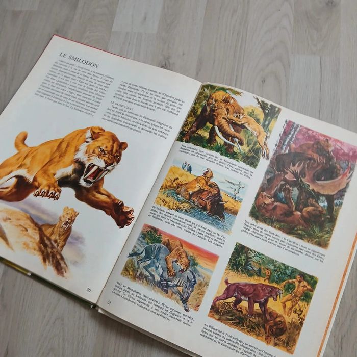 Livre préhistoire - photo numéro 4
