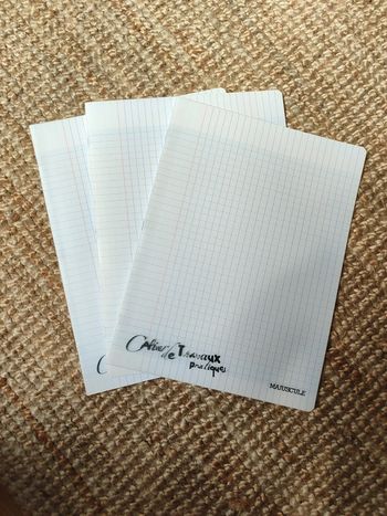 Grand cahiers travaux pratiques 24x32 cm